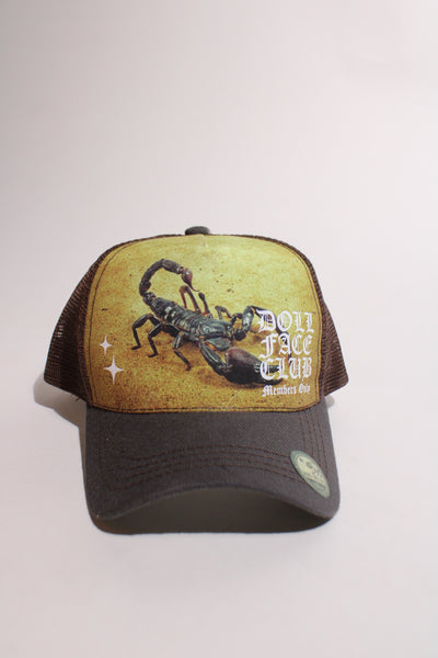 Nature Reserves Scorpion (Brown)