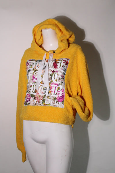 Yellow Teddy Crop