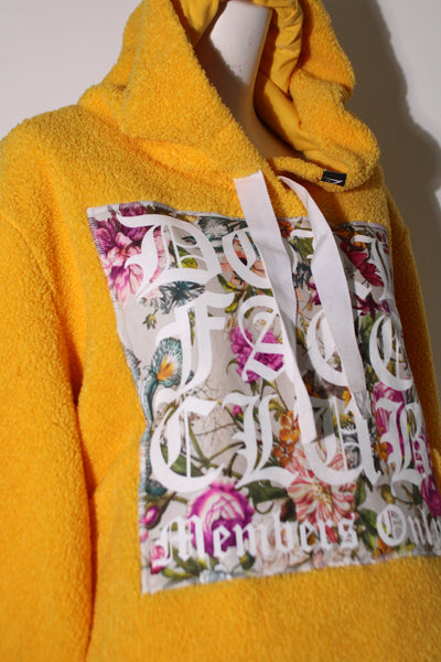 Yellow Teddy Crop
