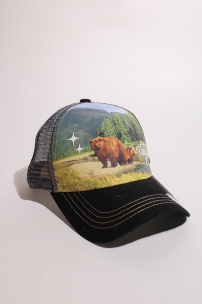 Nature Reserves Bears