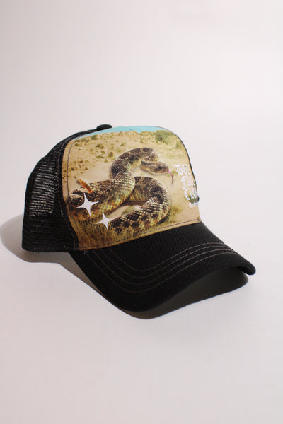 Nature Reserves Snake