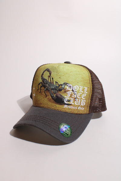 Nature Reserves Scorpion (Brown)