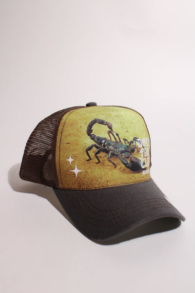 Nature Reserves Scorpion (Brown)